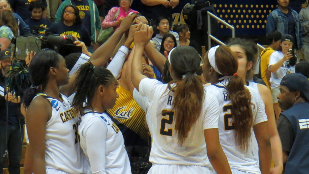 Cal keeps Wichita State at bay, advances to second round of NCAAs to face Texas