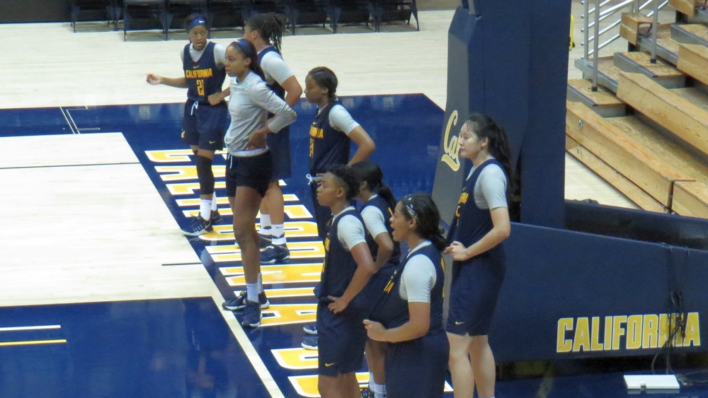 Cal Golden Bears hungry and motivated for 2016-17 with experience and talented youth