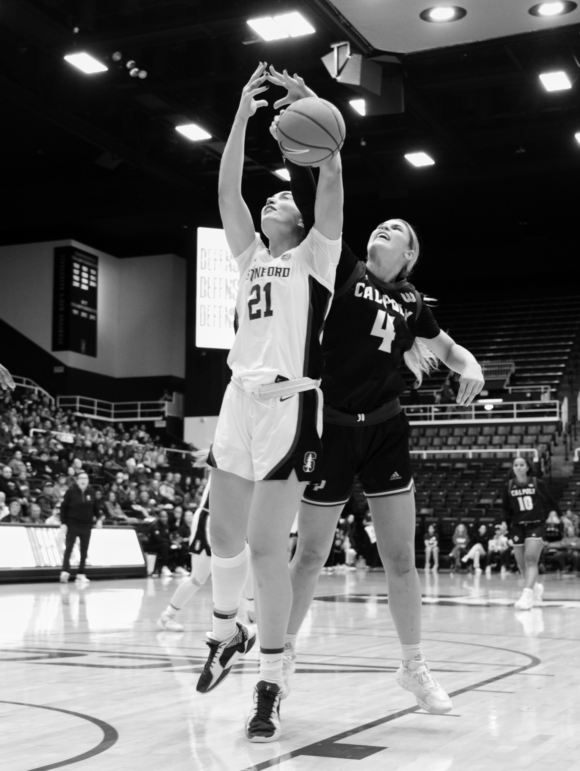 Stanford, CA – November 25, 2024. Cal Poly at Stanford. Photo © Baranduin Briggs, all rights reserved.